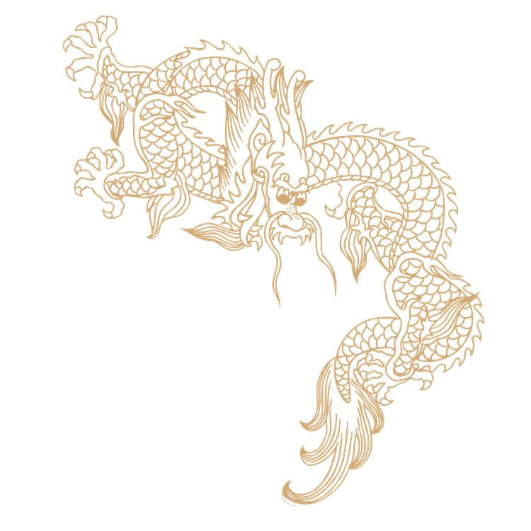 Chinese art dragon pattern 31
