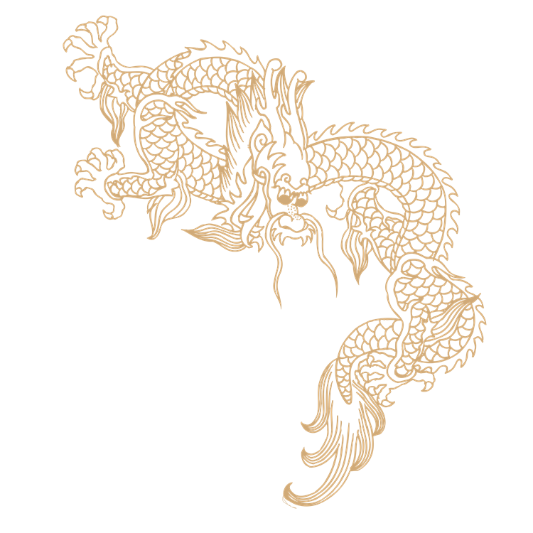 Chinese art dragon pattern 31