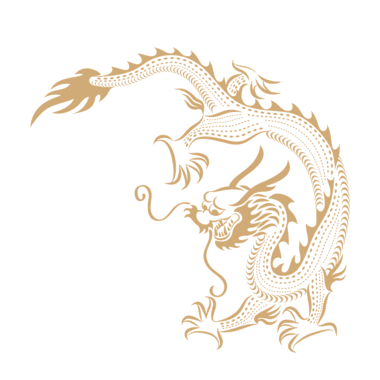 Chinese art dragon pattern 16