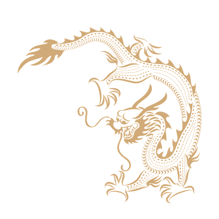 Chinese art dragon pattern 16