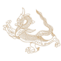 Chinese art dragon pattern 17