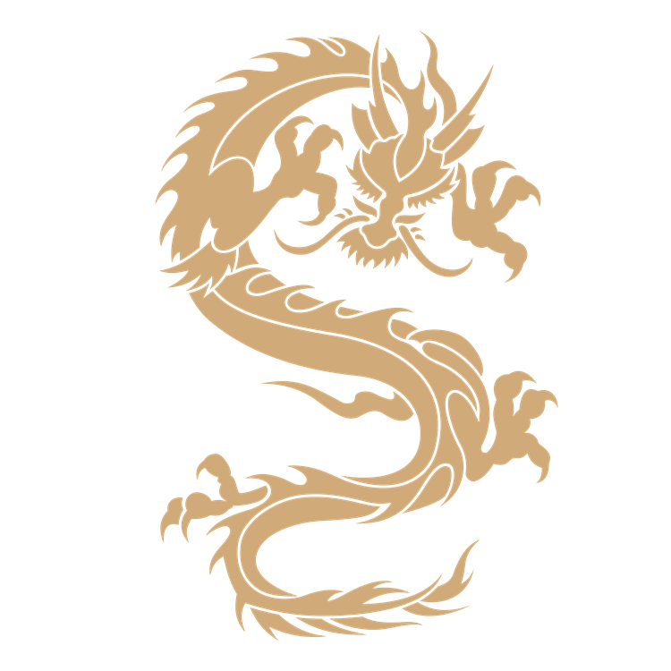 Chinese art dragon pattern 28