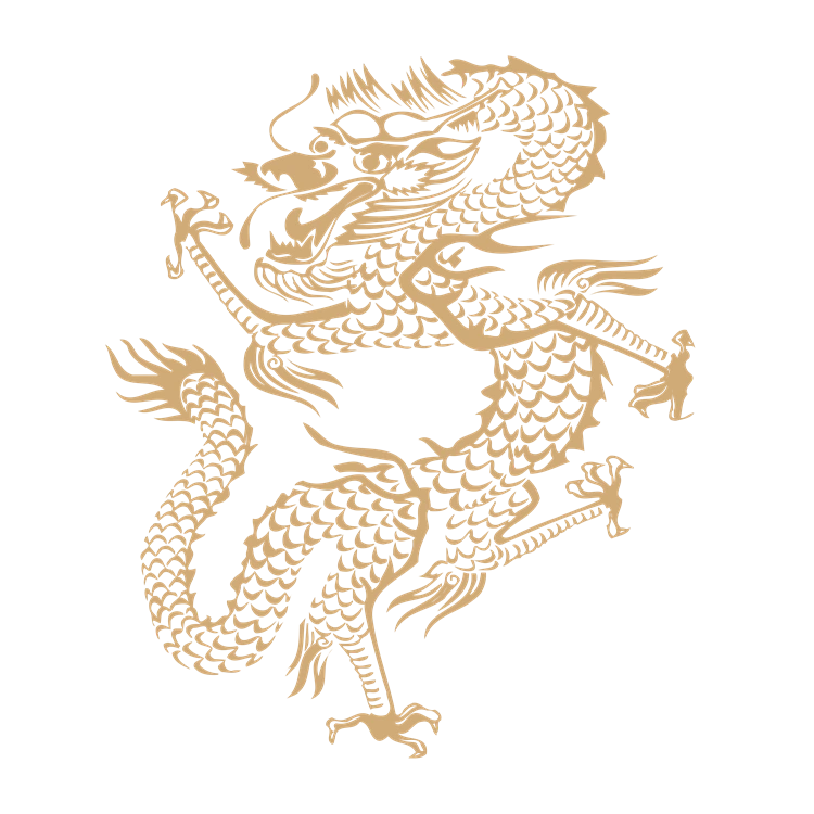 Chinese art dragon pattern 9