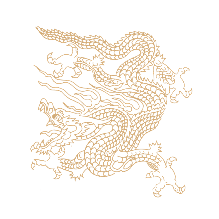 Chinese art dragon pattern 39