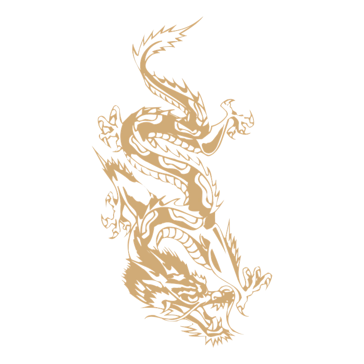 Chinese art dragon pattern 26