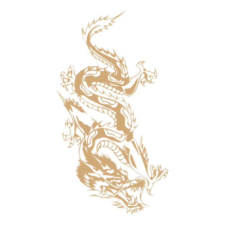 Chinese art dragon pattern 26