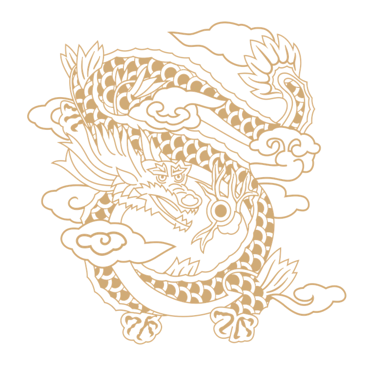 Chinese art dragon pattern 10