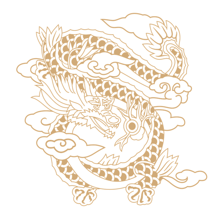 Chinese art dragon pattern 10
