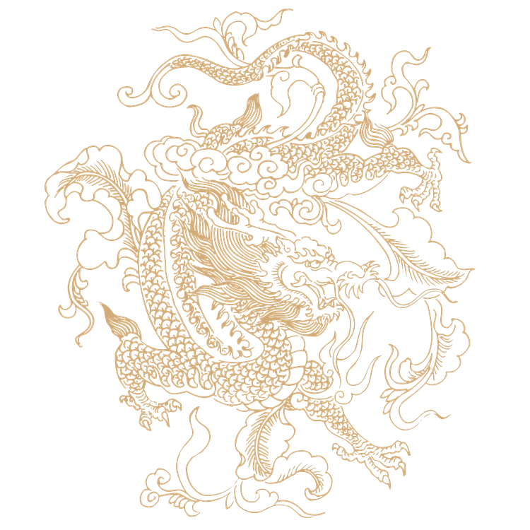 Chinese art dragon pattern 14