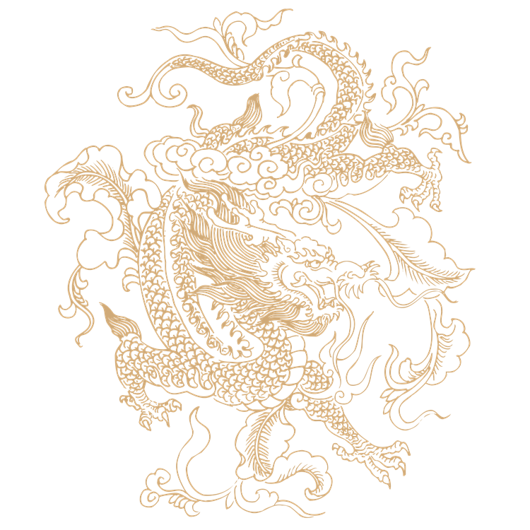 Chinese art dragon pattern 14