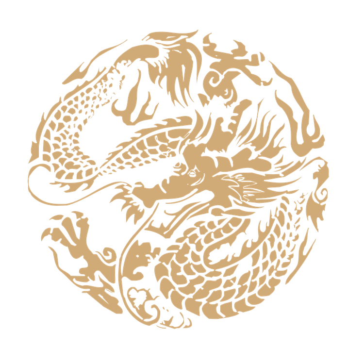 Chinese art dragon pattern 46