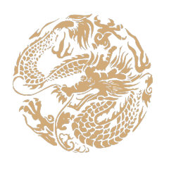 Chinese art dragon pattern 46