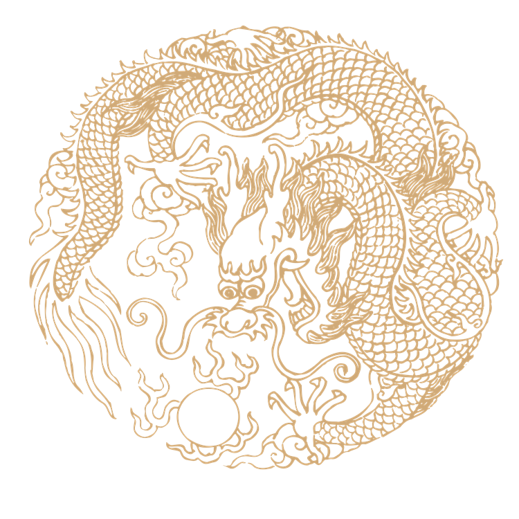 Chinese art dragon pattern 41