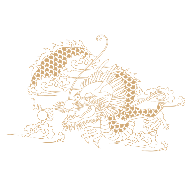 Chinese art dragon pattern 21