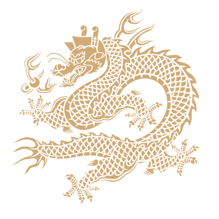 Chinese art dragon pattern 8
