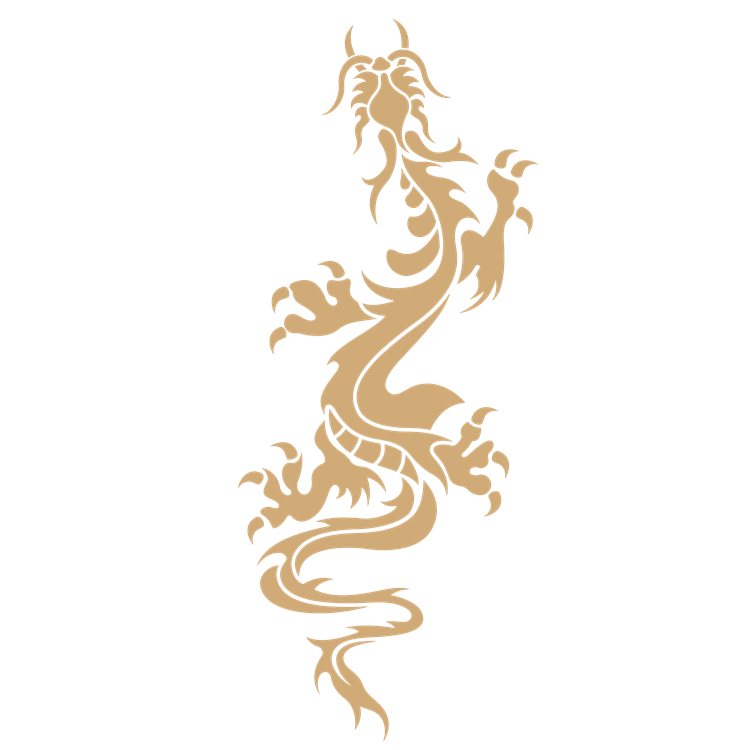Chinese art dragon pattern 29