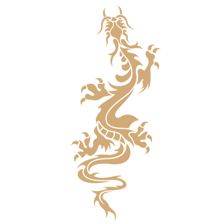 Chinese art dragon pattern 29