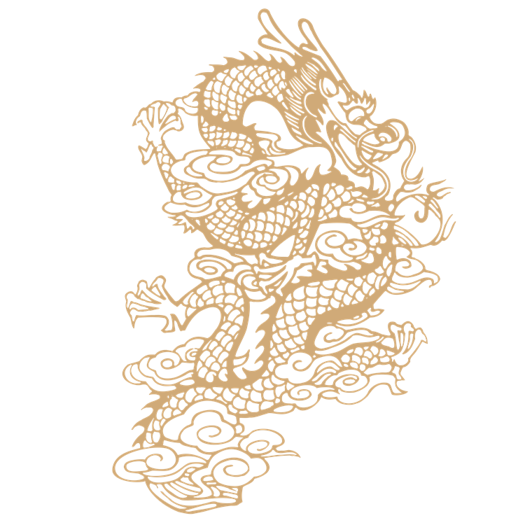 Chinese art dragon pattern 15