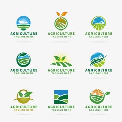Common agricultural pattern set (4)