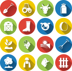 Common agricultural pattern set (15)