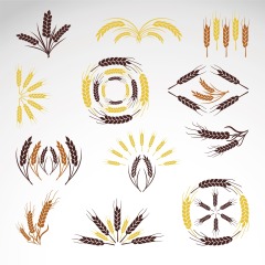 Common agricultural pattern set (16)