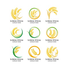 Common agricultural pattern set (20)