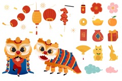Chinese Style dragon and lion dance  pattern (18)