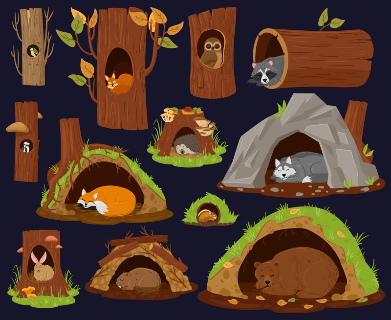 Tree hole and animals icon pattern set (5)