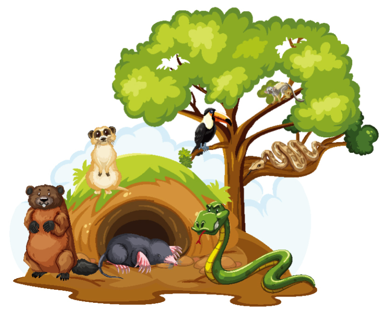 Tree hole and animals icon pattern set (10)