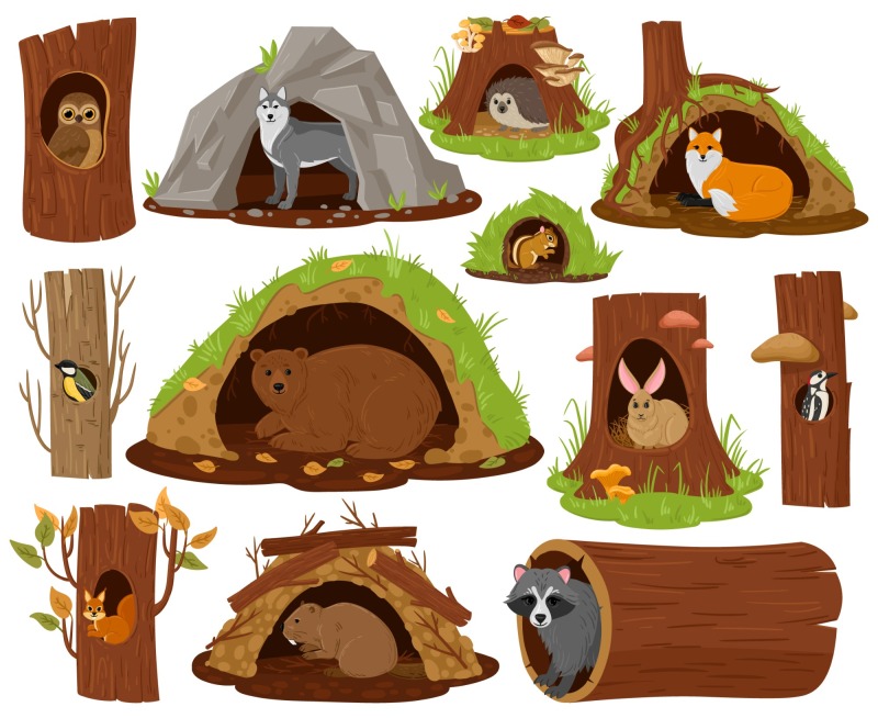Tree hole and animals icon pattern set (11)