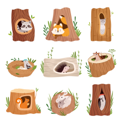 Tree hole and animals icon pattern set (23)