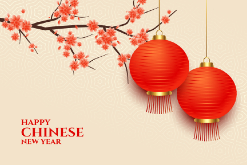 Chinese traditional lantern elements set (28)