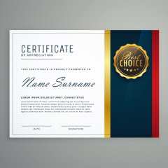 High quality certificate template pattern (214)