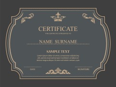 High quality certificate template pattern (245)