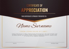 High quality certificate template pattern (301)