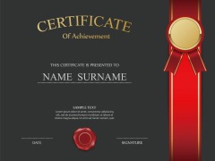 High quality certificate template pattern (256)