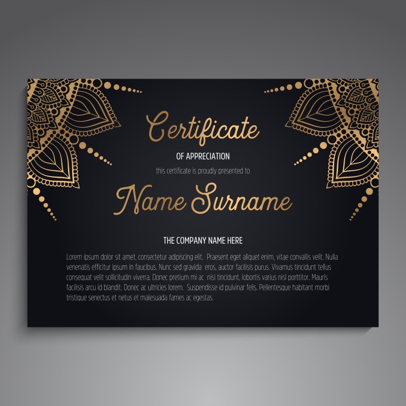 High quality certificate template pattern (330)