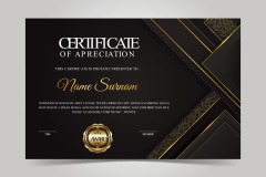 High quality certificate template pattern (434)