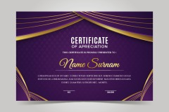 High quality certificate template pattern (433)