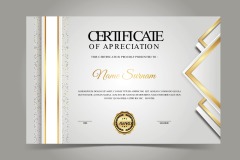 High quality certificate template pattern (446)