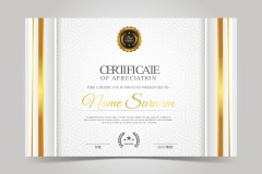 High quality certificate template pattern (437)