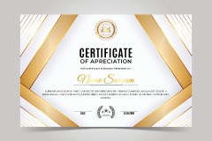 High quality certificate template pattern (432)