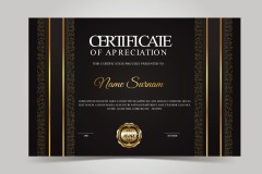 High quality certificate template pattern (445)