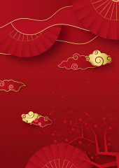 Chinese New Year traditional background pattern template (13)