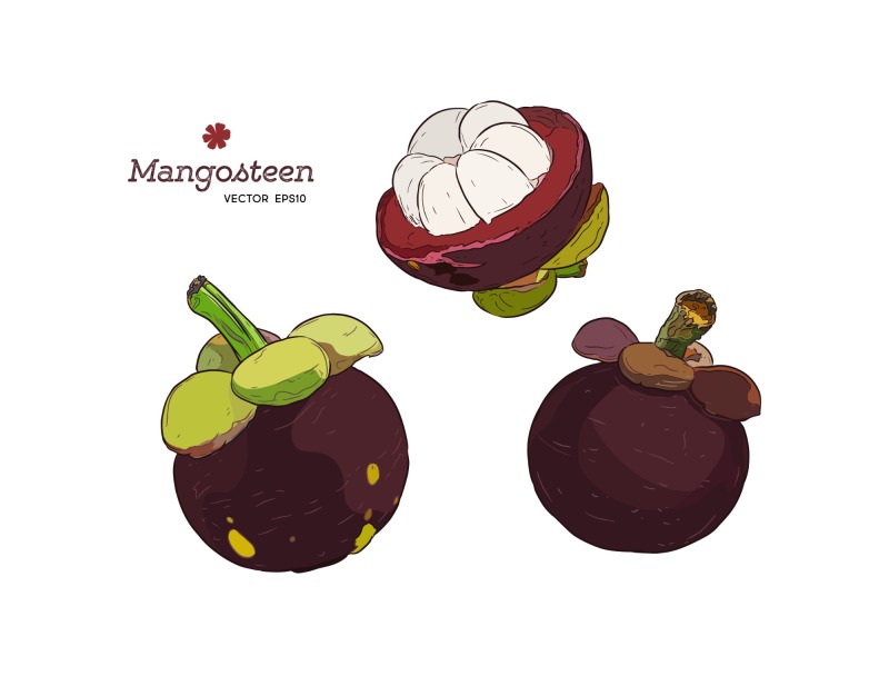 Classic Thai style food pattern set (6)