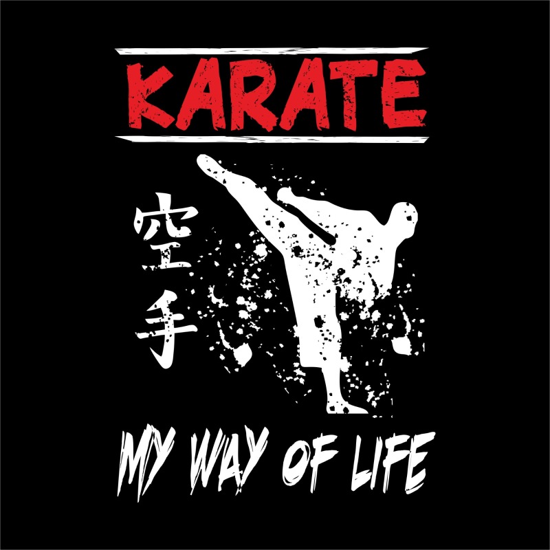 Japanese Karate Promotion: White Silhouette with High Kick​
