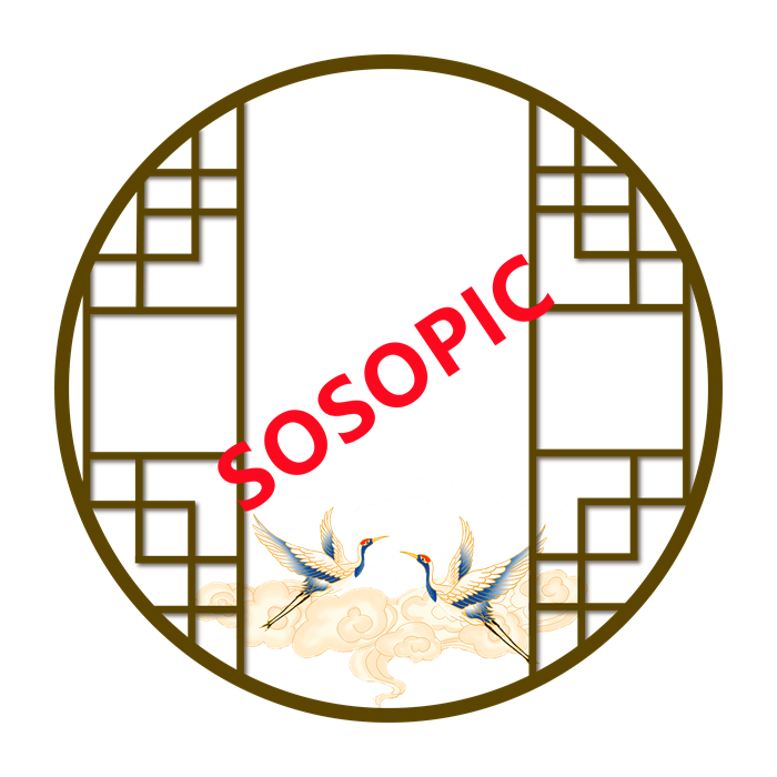 Chinese Classical Window - Pane Element Decorated Border with Two Playful Cranes in the Background​
