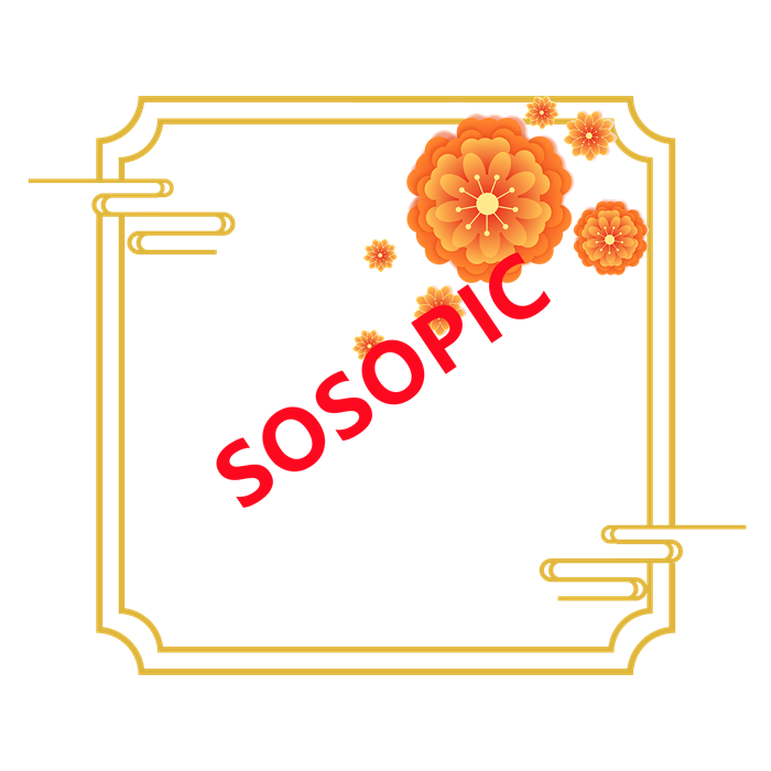 Chinese Traditional Cultural Element Square Border Design with Auspicious Clouds and Chrysanthemums​
