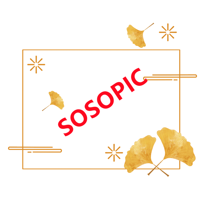 Chinese Traditional Square Border Design with Ginkgo Leaf Decorative Elements​
