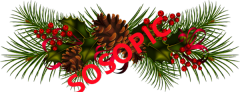Christmas: Pine Needles & Pinecones Icon Set